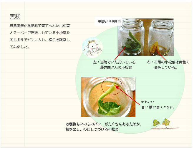 �¸���̵����̵���������ǰ�Ƥ�줿�����ڤȥ����ѡ��ǻ��Τ���Ƥ��뾮���ڤ�Ʊ�����ǥӥ�����졢�ͻҤ�ѻ����Ƥߤޤ�����
